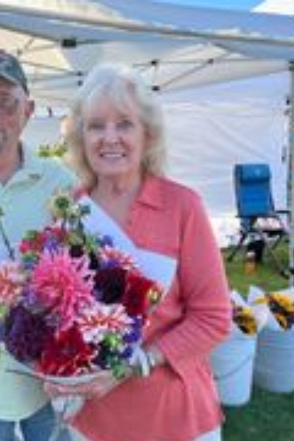 Cruise Brothers Travel Agent judith DURHAM